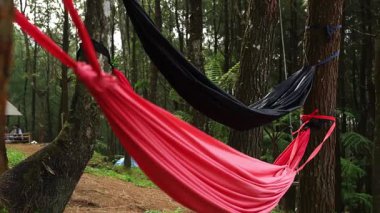 İki renkli hamak, biri kırmızı ve biri siyah, ormanlık alanda ağaçların arasında asılı. Yeşilliklerle çevrili arka planda bir çadır görünür..