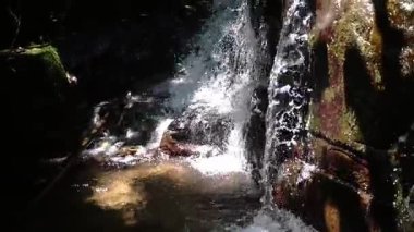 Serin bir şelale kayaların üzerinde berrak bir havuza dökülüyor, yemyeşil ile çevrili. Suda güneş ışığı parıldıyor, sakin bir atmosfer yaratıyor..