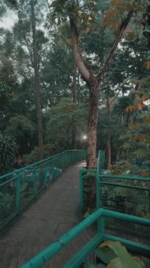 Bereketli yeşillikler ve ağaçlarla çevrili, uzakta parıldayan yumuşak bir ışıkla sakin bir ahşap geçit. Yol yüksek ve yeşil bir korkuluk içeriyor, doğada barışçıl bir atmosfer yaratıyor..