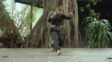 Bir dövüş sanatçısı ağaçlar ve yeşilliklerle çevrili açık havada dinamik bir poz veriyor. Bireyler geleneksel giysiler giyer, doğanın ve hareketin bir karışımını sergiler..