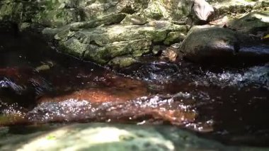 Suyun yüzeyinde güneş ışığının parladığı, kayaların üzerinden akan sakin bir dere..