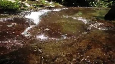 Suyun yüzeyinde güneş ışığının parladığı pürüzsüz kayaların üzerinden akan sakin bir akarsu. Bereketli yeşillik çevreyi sarar, huzurlu bir doğal ortam yaratır..