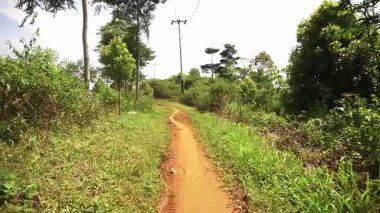 Her iki tarafında ağaçlar ve çalılar olan yemyeşil bitki örtüsü boyunca dar bir toprak yol esiyor. Güç hatları açık bir gökyüzünün altındaki yola paralel çalışıyor.