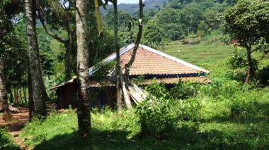 Yeşillik ve ağaçlarla çevrili, kiremitli çatılı geleneksel bir evin yer aldığı kırsal bir manzara. Manzara, arka planda tepeleri içeriyor, sakin bir atmosfer yaratıyor..