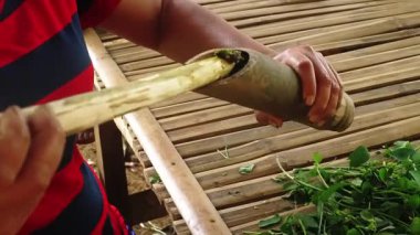 Bitki ve bitkileri hazırlamak ya da işlemek için bambu tüpü kullanan bir kişi geleneksel gıda hazırlama yöntemleri veya bitkisel ilaçlar sergiliyor..
