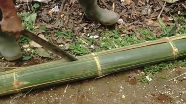 Görünür oyuklar ve işaretlerle kaplı, çimen ve yapraklarla çevrili, ahşap bir kalasın yakın çekim görüntüsü. Tahtanın dokusu çizilmiş, aşınma ya da oyma izleri var..