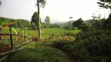 Bereketli yeşil pirinç tarlaları, yuvarlanan tepeler ve berrak bir gökyüzünün altında dağılmış ağaçlardan oluşan sakin bir manzara. Toprak bir patika tarlalarda esiyor, keşifleri davet ediyor..