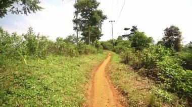 Bereketli yeşillikler arasında dolambaçlı toprak bir yol, açık mavi bir gökyüzünün altında, uzun otlar ve çalılarla çevrili. Yol boyunca uzanan elektrik hatları kırsal bir ayarı gösteriyor..