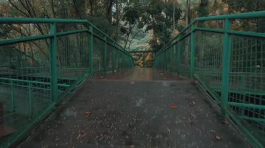 Yeşillik ağaçlar ve yapraklarla çevrili, yüzeyinde yağmur damlacıkları olan yeşil yaya köprüsünün sakin bir görüntüsü, sakin bir atmosfer yaratıyor..