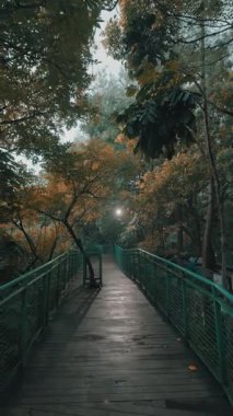 Bereketli yeşillik ve sonbahar yapraklarıyla çevrili sakin bir ahşap geçit. Yol, yumuşak bir ışıkla aydınlatılıyor ve sakin bir atmosfer yaratıyor. Doğa aşıkları ve barışçıl inzivalar için mükemmel.