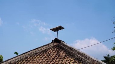 Geleneksel bir evin çatısına açık mavi bir gökyüzünün altına monte edilmiş bir güneş paneli. Çatı terasotta fayanslarından ve yeşilliklerle çevrili sazdan bir kenardan oluşur..