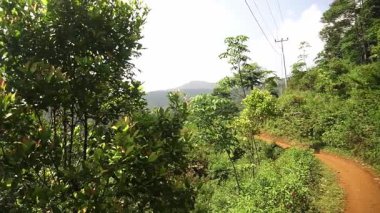 Parlak bir gökyüzünün altında ağaçların ve tepelerin olduğu yemyeşil bir arazide süzülen manzaralı bir toprak yol..