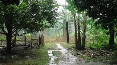 Bereketli yeşillik boyunca uzanan, ağaçlar ve muz bitkilerinin olduğu sakin kırsal bir patika. Zemin ıslak, bu da yeni yağan yağmurun sakin bir atmosfer yarattığını gösteriyor..