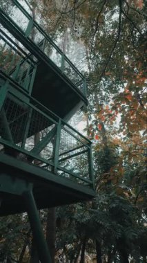 Etrafı yemyeşil ağaçlar ve renkli yapraklarla çevrili yeşil bir gözlem kulesi. Kule, doğal ortama uyum sağlayan korkuluklu metal bir yapıya sahip..