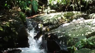 Bereketli yeşil bir ormanda kayaların üzerinden akan sakin bir dere. Güneş ışığı yaprakların arasından süzülür, su ve taşların üzerinde noktalı ışık yaratır..