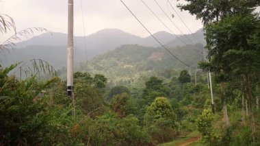 Arkasında yuvarlanan tepeler olan yemyeşil bir manzaranın manzarası. Elektrik hatları, yoğun bitki örtüsü ve bulutlu bir gökyüzünün altındaki ağaçlarla çevrili toprak bir yol boyunca akıyor..