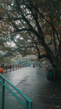 Sonbahar yapraklı gür ağaçlarla çevrili sakin bir ahşap geçit. Sahne sakin ve huzurlu, parktaki doğanın güzelliğini gözler önüne seriyor..