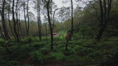 Bereketli yeşillik ve yüksek ağaçların arasına yerleştirilmiş küçük ahşap kulübelerle huzurlu ve doğal bir ortam yaratıyor..