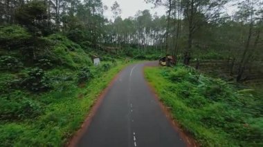 Küçük ahşap kulübeleri ve park halindeki arabası olan yemyeşil bir ormanda dolambaçlı bir yol..