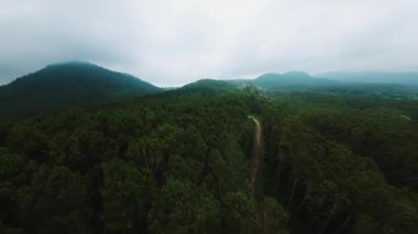 Yuvarlanan tepeleri ve bulutlu gökyüzü olan yemyeşil ormanların havadan görünüşü. Manzara, doğanın güzelliğini gözler önüne seren sık ağaçlar ve dolambaçlı bir yola sahiptir..