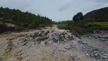 Bereketli yeşillikler ve bulutlu bir gökyüzünün altındaki ağaçlarla çevrili kayalık bir nehir yatağı. Manzara, taşların, eğreltiotlarının ve seyrek bitkilerin karışımından oluşuyor ve sakin bir doğal ortam yaratıyor..