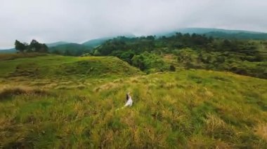 Bulutlu bir gökyüzünün altında yuvarlanan yeşil bir tepe. Manzarada, sakin ve sakin bir atmosfer oluşturan çimen ve uzak ağaçlardan oluşan parçalar yer alıyor..