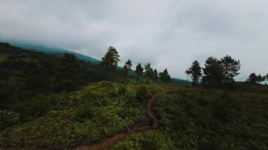 Bulutlu bir gökyüzünün altında dağınık ağaçlarla yemyeşil bir tepenin panoramik görüntüsü. Çevrede canlı bitki örtüsü ve yuvarlanan tepeler var. Huzurlu ve sakin bir atmosfer yaratıyorlar..