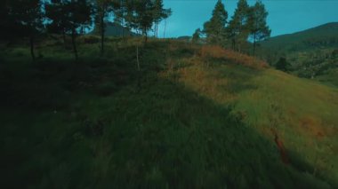 Yüksek otları ve mavi gökyüzünün altındaki dağınık ağaçlarıyla yemyeşil bir tepenin manzarası. Manzara, açık hava temaları için ideal olan sükunet ve doğal güzelliği taşır..