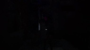 Bir fenerle aydınlatılan karanlık bir sahne, gölgelerde kısmen gizlenmiş bir figürü açığa çıkarıyor. Atmosfer esrarengiz ve ürkütücü. Gece keşfi ya da macera gibi..