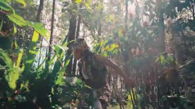 Geleneksel Cava kostümleri giymiş mitolojik karakterleri canlandıran bir erkek ve kadın, tropikal bitkiler ve çiçeklerle dolu güzel bir ormanda yürüyorlar. Çekim, doğal çevreyi keşfederken onları takip ediyor..