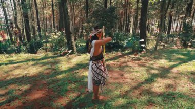 Güneşli orman açıklıklarında bir Cava okçusunun geniş açılı görüntüsü. Yayını tutuyor, duruşunu takınıyor, ve sonra rahatlıyor, dikkatlice ormana bakıyor..