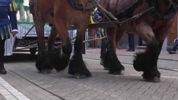 Konie Spacerujące Lokalnym Jarmarku Zbliżenie Widok Końskiej Nogi Chodzenia Zwolnionym — Wideo stockowe