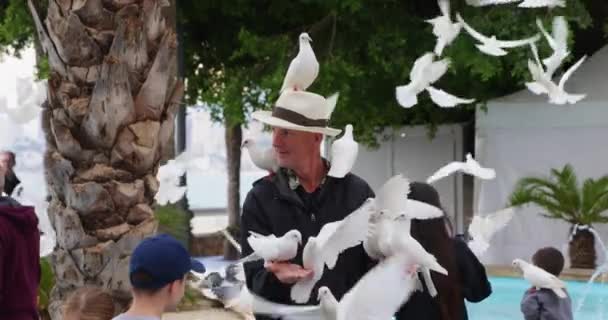 Fehér Kalapos Férfi Fehér Galambokat Galambokat Etet Kezéből Vállán Lassított — Stock videók