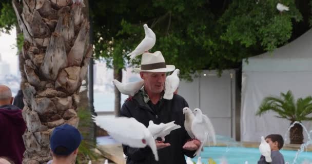Homem Alimentando Pombos Brancos Suas Mãos Pombas Sentadas Seu Ombro — Vídeo de Stock