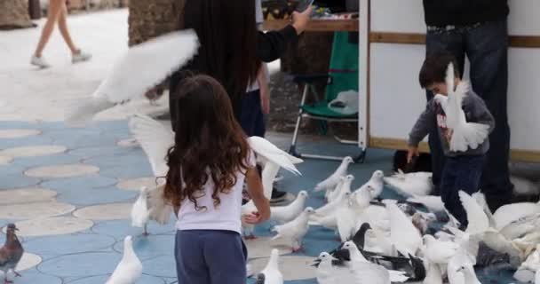 ホワイト鳩飛行オン若い女の子頭でスローモーションビデオ — ストック動画