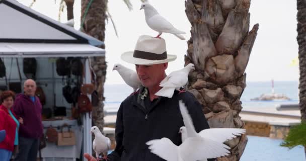 Białe Gołębie Gołębie Siedzące Ramieniu Mężczyzny Kapeluszu Zwolnionym Klipie Wideo — Wideo stockowe