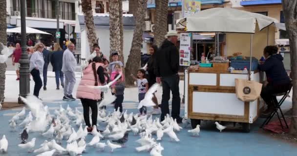 スローモーションビデオで鳥に餌を与えるためのスナックを販売する屋台の横にある町の広場で飛んでいる白い鳩とハト — ストック動画