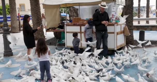 Une Jeune Famille Nourrit Des Pigeons Blancs Des Colombes Oiseaux — Video