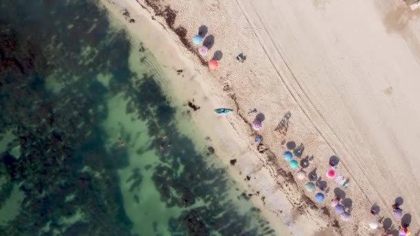 Беспилотные Летательные Аппараты Сверху Вниз Над Пляжем Людьми Наслаждающимися Морем — стоковое видео