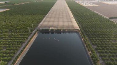 Torrevieja 'daki tarımsal beceriyi ön plana çıkaran geniş bir su deposunun yanındaki geniş bahçelere yayılmış bir İHA' nın dikey görüntüsü..