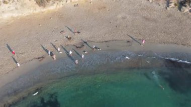 Playa Flamenca, Orihuela 'nın hava aracı görüntüleri köpeklerin çakıl taşı plajında ve İspanya' nın temiz sularında sahipleriyle oynayıp etkileşimlerini gösteriyor..