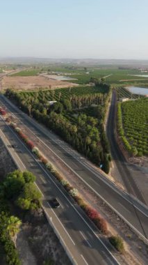 Dikey insansız hava aracı Torrevieja 'daki AP7 otoyolunu yakalıyor. Etrafı yemyeşil bahçeler ve manzaralı palmiye ağaçları ile çevrili.