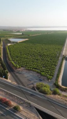 İnsansız hava aracı AP7 otoyolu üzerinde çekim yaptı, turunçgil tarlalarına geçiş, bir su deposu, ve Torrevieja tuz gölü, zengin, çeşitli bir manzarayı gösteriyor.
