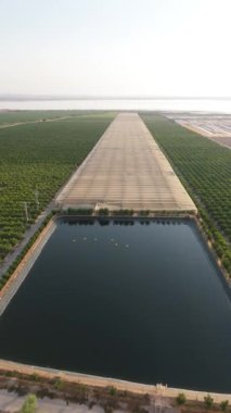 Torrevieja 'da doğrudan bir tarım alanı, su deposu ve mahsul örtüsü üzerinde dikey insansız hava aracı uçuşu, bölgenin tarım altyapısını vurguluyor