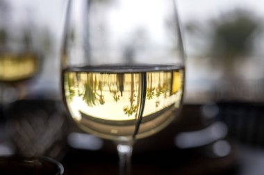 Bir bardak beyaz şarabın sanatsal yakın çekimi palmiye ağaçlarının bulanık bir yansımasını ve açık hava sahnesini sergiliyor..