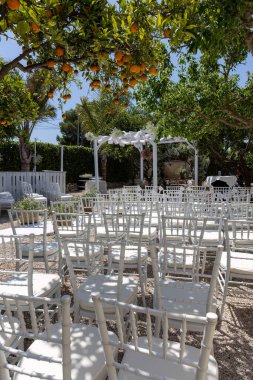 Turunçgil ağaçlarının altında romantik bir düğün için hazırlanmış beyaz sandalyeli şık bir açık hava seremonisi..