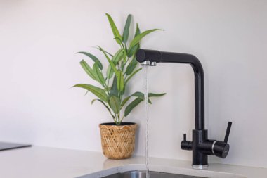 Beyaz tezgahtaki saksı bitkisinin yanında akan suyla süslü siyah mutfak musluğu..