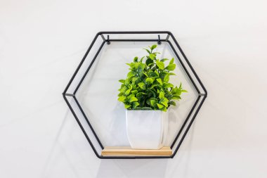 Altıgen siyah duvar rafı, beyaz bir duvara karşı saksı yeşili bir bitki, modern ve taze bir dokunuş ekliyor..