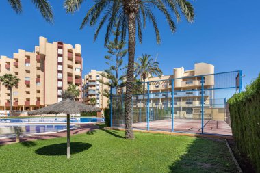 Padel tenis kortunun güneşli manzarası ve yeşil çimenler, palmiye ağaçları ve modern dairelerle çevrili yüzme havuzu..