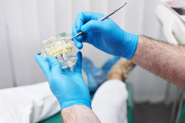 Close Das Mãos Médico Dentista Luvas Cirúrgicas Azuis Segurando Modelo — Fotografia de Stock